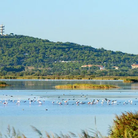 Апартаменти Les Rivages De Rochelongue-3 By Interhome Агд